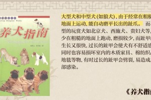 狗狗指甲修剪频率的重要性（定期修剪指甲确保狗狗健康与舒适）