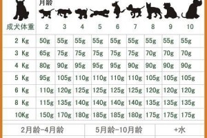 粗颈龟的饲养方法（打造舒适的栖息环境，科学合理的饮食安排，精心照料养护）