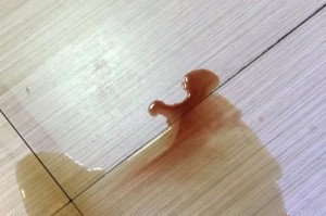 幼犬尿血的原因及应对方法（了解幼犬尿血的常见原因与治疗方式，守护犬儿健康）