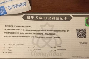 犬血统证书的重要性（了解犬只血统的关键一步）