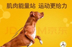 以萨姆耶吃什么牌子狗粮？（为你的萨姆耶选择最适合的狗粮品牌）