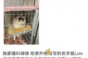 如何为宠物取一个合适的名字（15个独特的宠物名字供您选择）