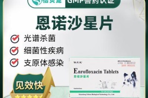狗狗风湿饮食指南（为你的狗狗选择健康食物）