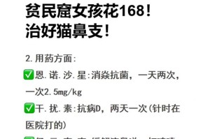 成年猫咪鼻支治疗方法详解（了解成年猫咪鼻支的原因和应对措施）