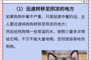 中暑狗狗的救命药！（预防和急救中暑，你需要知道的关键药物及使用方法）