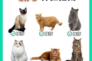 适合新手饲养的便宜又易养的猫种类（让你更轻松地享受猫咪陪伴的几种理想选择）