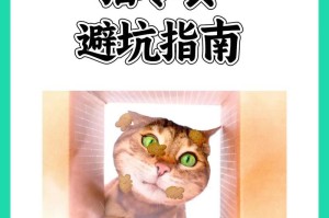 猫咪买卖全攻略——合理价格与避坑指南（盘点三十种常见品种猫的价格及购买注意事项）