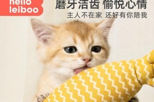 猫薄荷是否会对宠物猫造成危害？（揭秘猫薄荷的真相，保护你的爱猫）