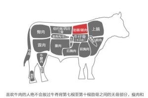 牛头鲷的饲养方法（科学饲养让牛头鲷生机勃勃）