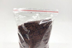 选择合适的乌龟底材——为宠物乌龟提供舒适的生活环境（探讨乌龟底材的选择和使用技巧）