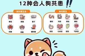 狗肚子的寄生虫及其危害（了解狗肚子中的寄生虫对宠物健康的重要性）