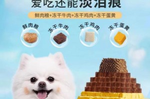 如何确定博美犬的狗粮喂食量？（根据博美犬的情况确定合适的狗粮喂食量）