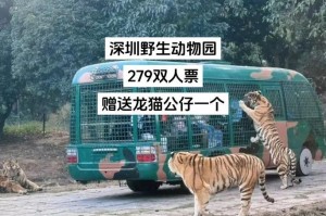 野生的龙猫的饮食习性及饲养方法（了解野生龙猫的食物偏好和合理饲养方式，让它们健康成长）