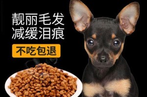 小鹿犬饲养指南——关注你的小家伙的需求（以小鹿犬饲喂要点，让你的小鹿犬健康快乐成长）