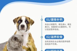 金毛幼犬如何选择适合的钙片（宠物健康从小抓起，选对钙片关键）