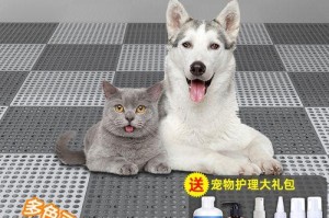 小猫猫的温暖陪伴——纪念罗小猫猫子生前图片（以宠物为主的家庭幸福记忆）