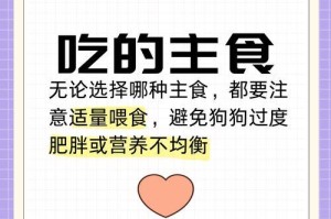 比熊犬最喜欢吃的6种食物（探究比熊犬的最爱，你的宠物喜欢吃哪一种？）