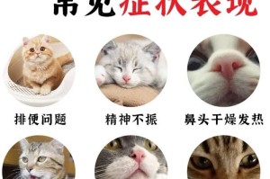 猫咪的排便问题（探究猫咪拉屎异常的症状及解决方法）