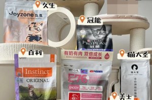 幼猫没有奶粉能吃什么好？（为您解答幼猫没有奶粉时的喂养问题）