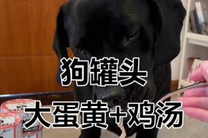 狗的饮食习惯（揭秘狗狗食谱中的蛋黄秘密，助你宠物健康饮食）