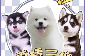 阿拉斯加犬与哈士奇的区别（探讨两种狗的外貌、性格和用途）