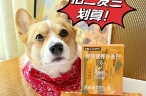 狗狗吃什么人用益生菌？（了解狗狗所需的益生菌种类及作用）