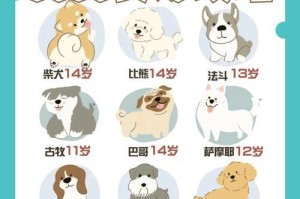 比熊断奶时间的选择与注意事项（了解比熊断奶时间，让它们健康快乐成长）