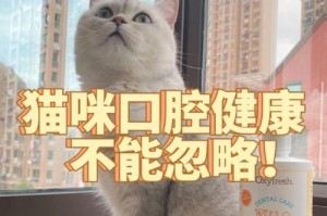 如何给宠物猫清洁口腔（有效的猫咪口腔护理方法与技巧）