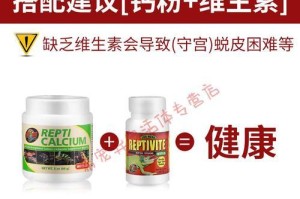 陆龟补钙的最佳食物选择（科学饲养关键，钙质摄入不可忽视）