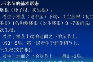 以牛头鲷为宠物的饲养方法（了解牛头鲷的生活习性，做好饲养准备）