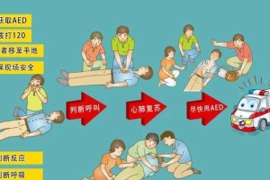 幼犬低血糖症状分析（了解低血糖症状，保护你的幼犬健康）