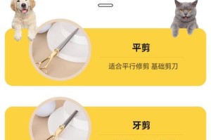 泰迪剪毛需要多长时间？（探究泰迪剪毛所需的时间以及相关因素）
