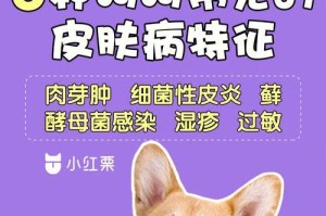 泰迪过敏症状（了解泰迪过敏症状，保护您和您的宠物健康）