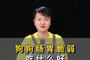 狗狗胃部不舒服应该吃什么？（探索适宜狗狗胃部不适的饮食选择）