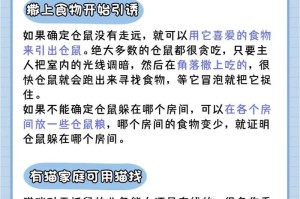 详解三线仓鼠的饲养方法（从住所、饮食、运动等方面教你做好宠物三线仓鼠的饲养）