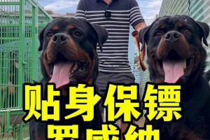 购买罗威纳幼犬的注意事项（了解罗威纳犬的特征，做出明智的选择）