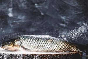 选择什么鱼网？从海洋保护到渔业可持续发展的考虑
