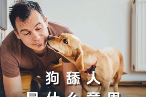 狗舔其他狗的行为代表着什么？（通过狗之间的舔行为来理解它们的社交意义）