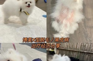 如何治疗小狗扭伤？（选择合适的药物治疗小狗扭伤）