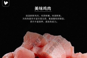 黑背狗狗的理想食谱（探索黑背狗狗的营养需求，帮助你做出明智的选择）