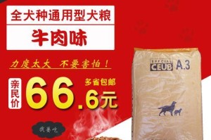 如何选购适合藏獒的保健用品（宠物健康必不可少的用品及其选购要点）