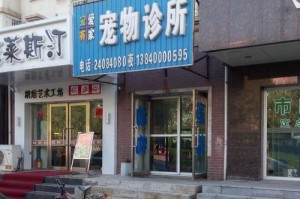 宠物医院的工作时间是什么时候？（了解宠物医院的营业时间，保障宠物健康）