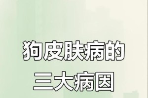 探究狗狗生病的原因（狗狗健康的关键是什么？）