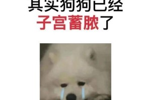 子宫蓄脓的持续时间及治疗方法（了解子宫蓄脓活多久的关键因素和影响）