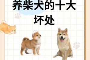 柴犬繁殖率低的原因及解决办法（探究柴犬为什么生的少以及如何提高繁殖率）