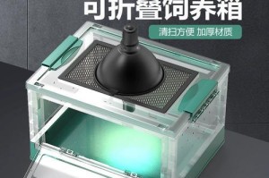非洲家庭常养的宠物（探索非洲家庭喜爱的宠物世界）