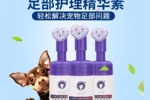 如何有效治疗泰迪脚掌干裂（选择合适的药物来缓解干裂问题）
