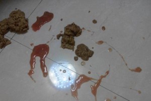 如何处理金毛犬小便黄的问题（以天然草药为主的治疗方法）
