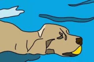 探索狗狗世界的奇妙魅力（如何吸引狗狗成为我们文章的主题）
