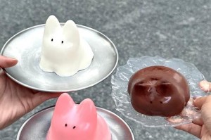 兔子的饮食习惯与奶的摄入量（探究兔子对奶类食物的需求及注意事项）